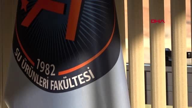 Antalya trol ağlarına takılan kafatası korkuttu