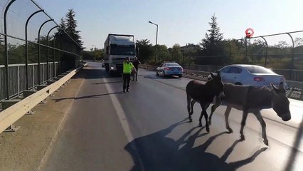 Çevre yoluna çıktılar trafiği birbirine kattılar