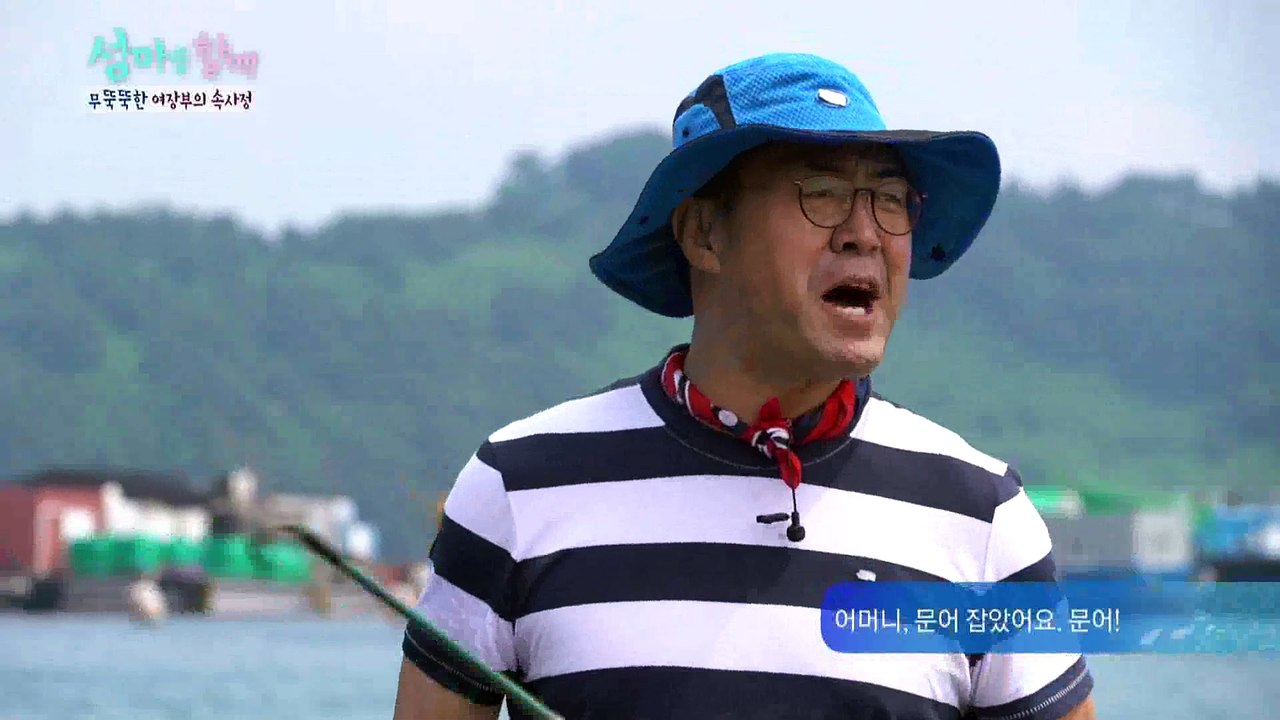 이만기도 인정한 맨손으로 문어 잡는 섬 할매 [섬마을할매] 11회