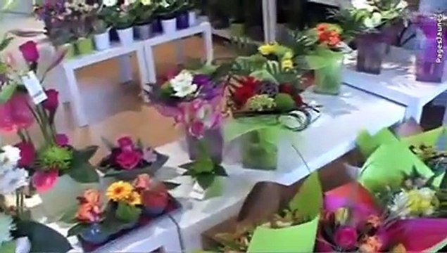 [FSN-RECETTE] - Sormati SARL