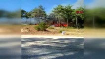 Bursa'nın orhaneli ilçesinde orman yangın