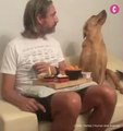 Ce chien essaye de piocher dans l'assiette  de son maître sans se faire attraper !