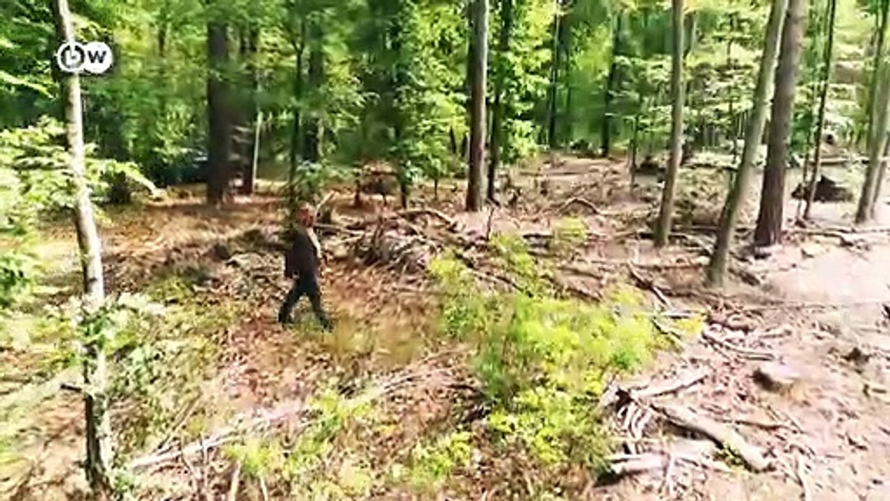 Klimawandel - Landwirte weltweit in Sorge | Made in Germany