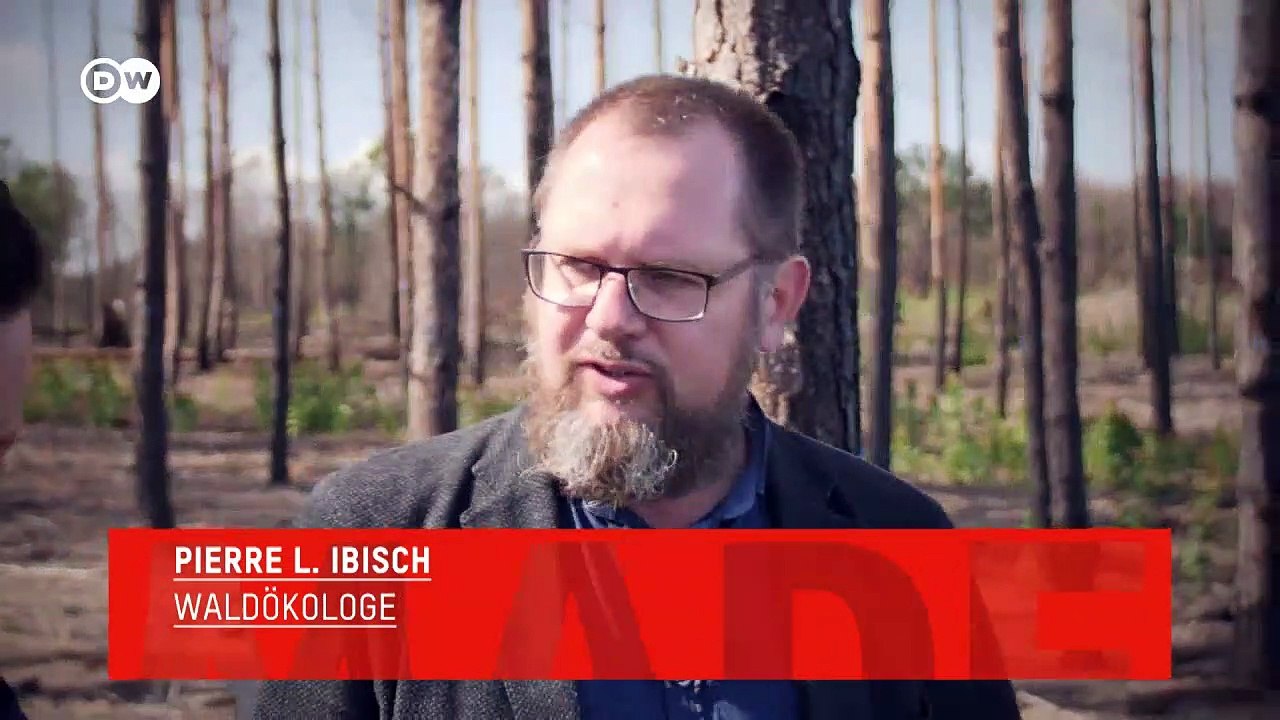 Tacheles: Pierre L. Ibisch, Klimaexperte | Made in Germany
