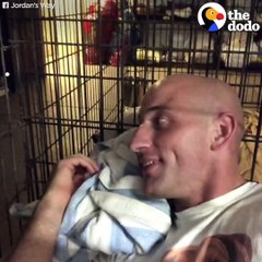 Kris Sits in Cage for 72 Hours