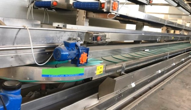 Foggia - Truffa su fondi europei per agricoltura, sequestro da 873mila euro (17.09.19)