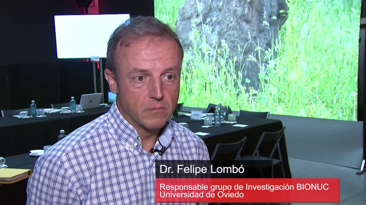 El jamón de bellota 100% natural ayuda a prevenir los síntomas de la Colitis Ulcerosa