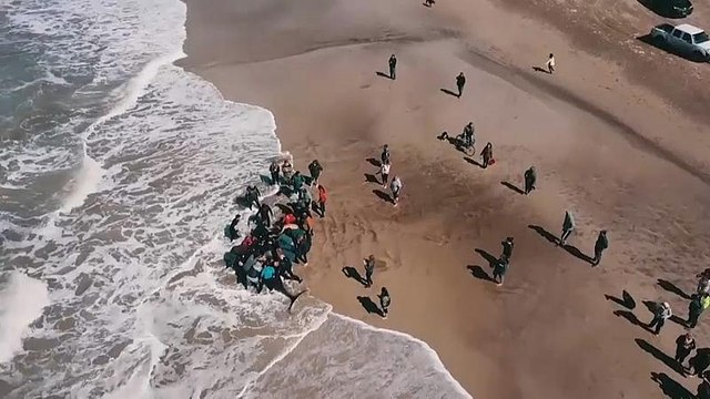 Watch: Rescuers save Orcas stranded on Argentine beach