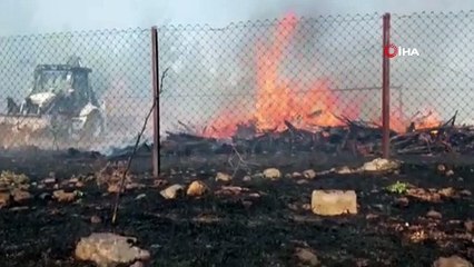 Bursa'da orman yangını...Çam ağaçları yanıyor