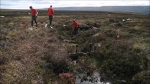 Helicopter helps save Peak District moors in National Trust project