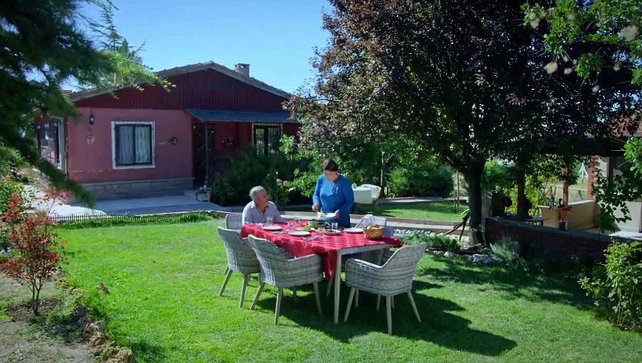 Sevdi tek