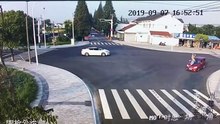 Peão é atropelado fora da passadeira e cão mostra como se faz
