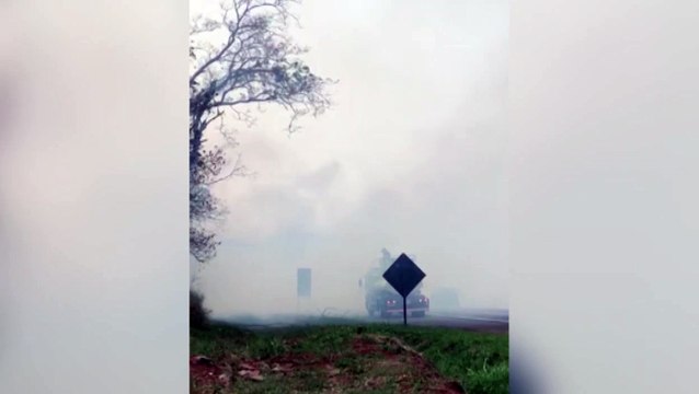 Fogo atinge vetação às margens da BR-277, em Santa Tereza do Oeste