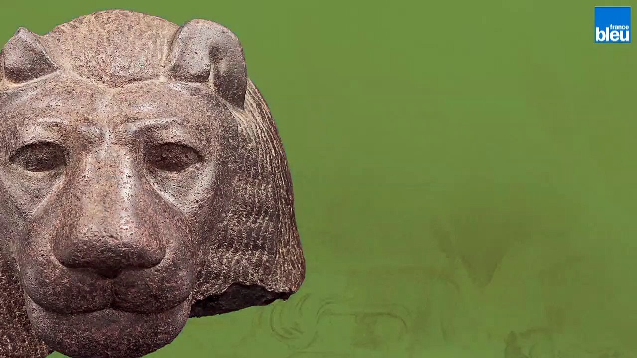 Le tigre blanc en mouvement