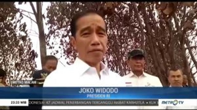 Presiden: Ada Kesengajaan Terorganisasi Kebakaran Lahan di Riau