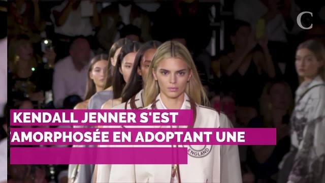 Laeticia Hallyday de retour en France, Céline Dion amoureuse : toute l'actu du mardi 17 septembre