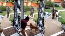 Cão reencontra o seu dono 8 meses depois… LINDO!