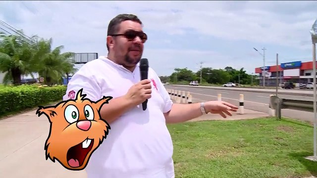 Z Man Desde Santiago de Veraguas parte II - Nex Panamá