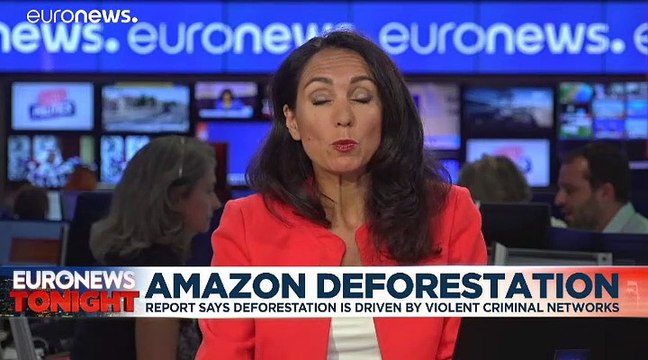 Defending the Amazon forest from deforestation 'can cost you your life' says new HRW report