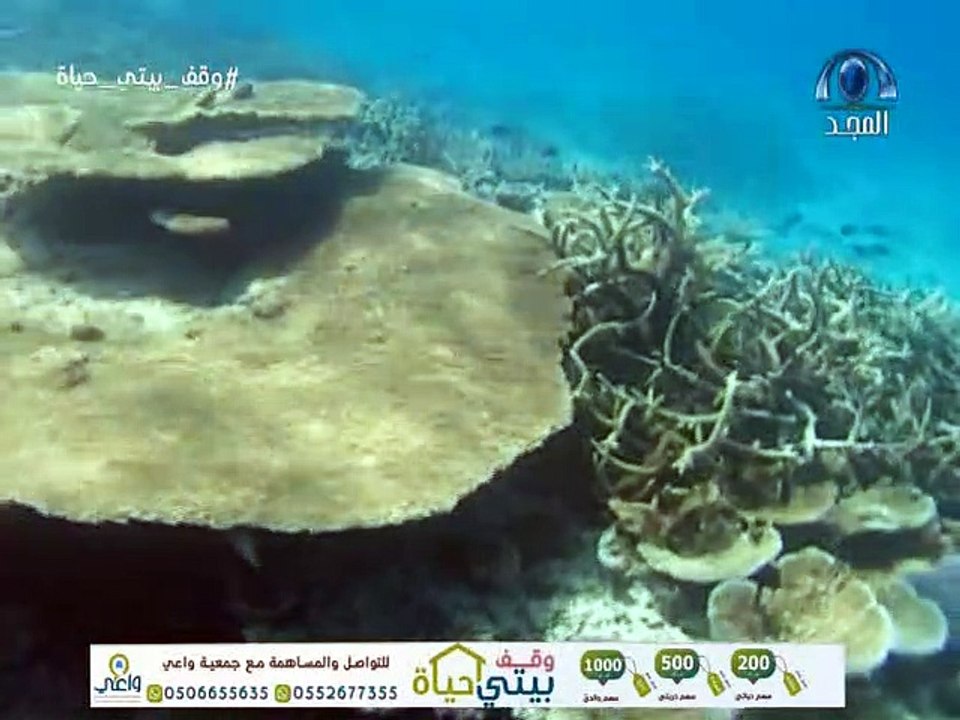 وثائقي رحلة تروي العجائب الجزء الثالث بدون موسيقى