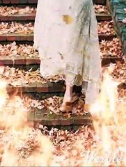 O Re Piya Whatsapp Status Video Rahat Fateh Ali Khan