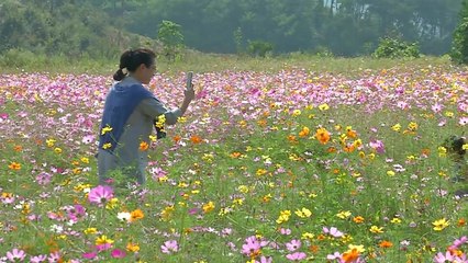 [날씨] 오늘 맑고 오후 늦게 쌀쌀...동해안 비 / YTN
