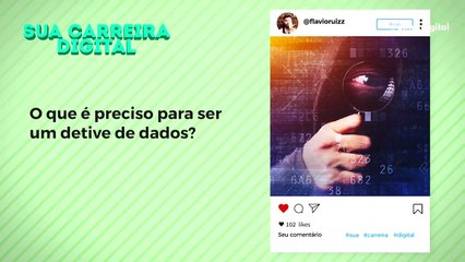 Detetive de Dados: Entenda Esta Profissão