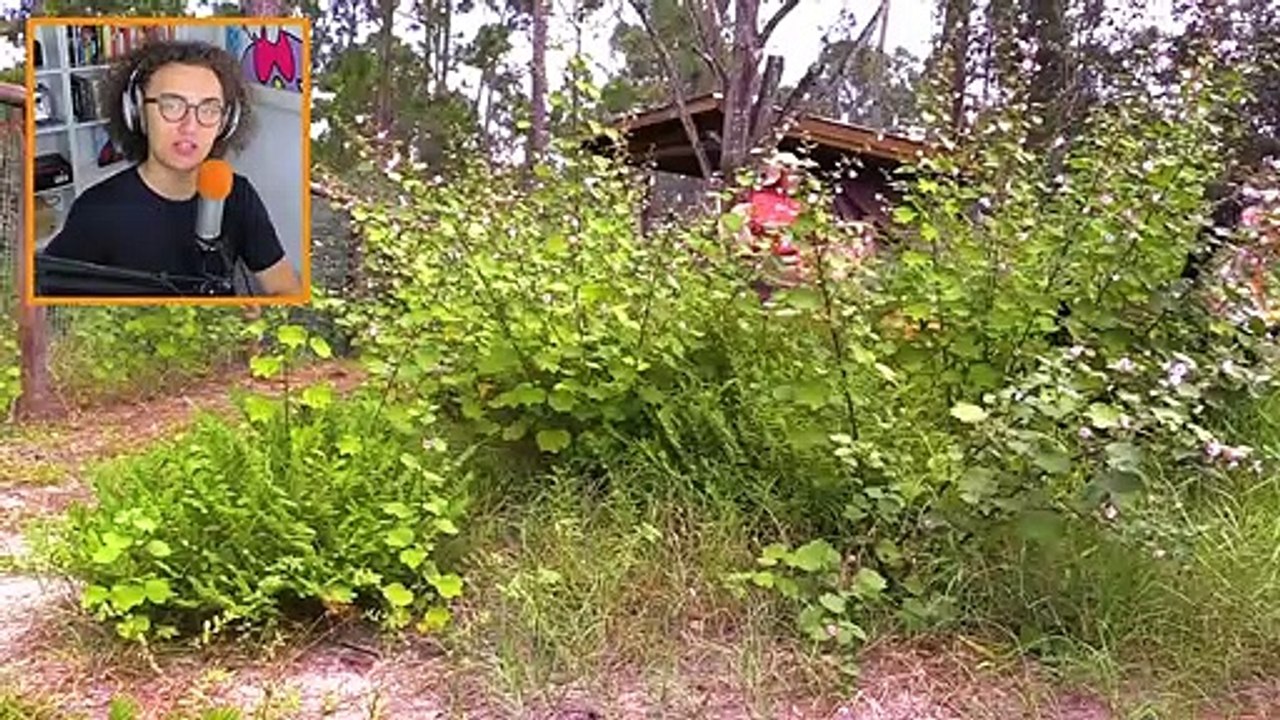 Amazing MINECRAFT vs. REAL LIFE CHALLENGE!
