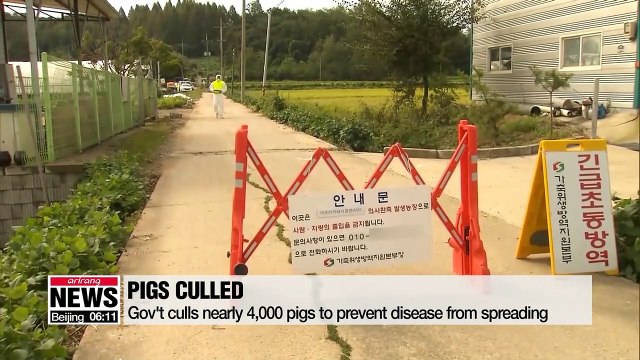 First official case of African swine fever reported in South Korea
