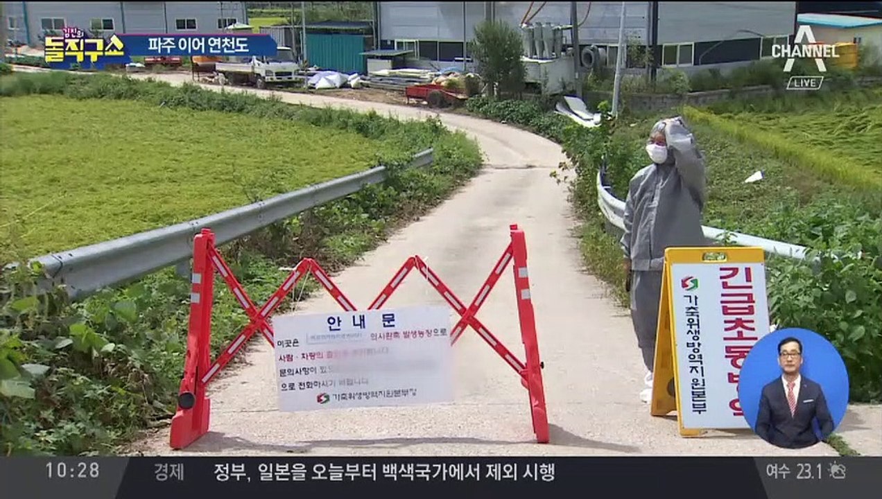 [핫플]파주 이어 연천도 확진…돼지고기 경매가 급등