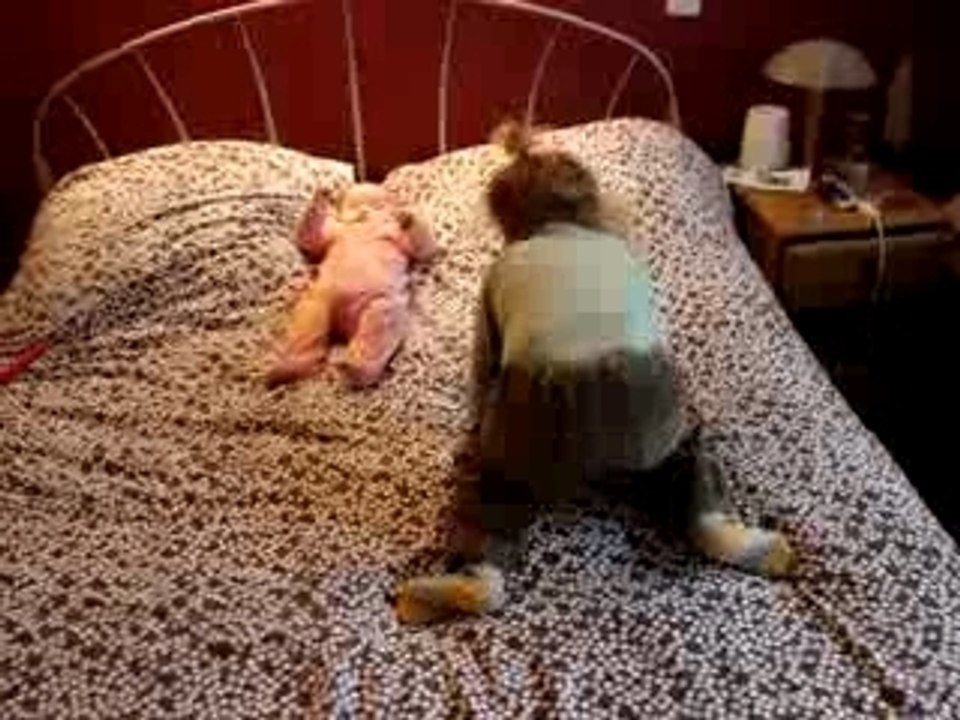 Charlotte danse sur Mika, prête à aller en boite?