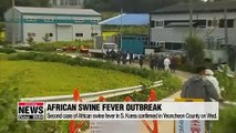Second case of African swine fever confirmed in S. Korea