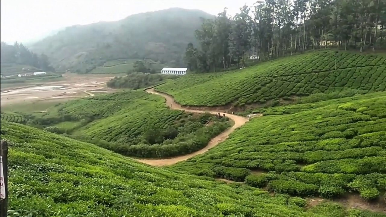 Megamalai The Unexplored Pleasant Hill Station - A must Visit