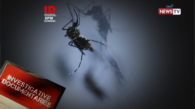 Investigative Documentaries: Tips kontra dengue, alamin!
