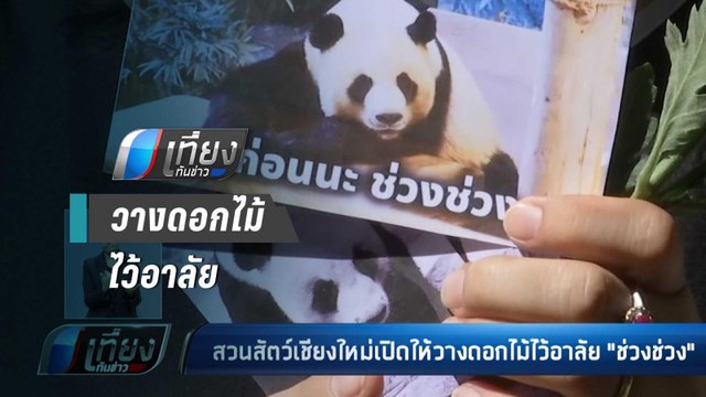 สวนสัตว์เชียงใหม่ เปิดให้วางดอกไม้ไว้อาลัย “ช่วง ช่วง” - เที่ยงทันข่าว