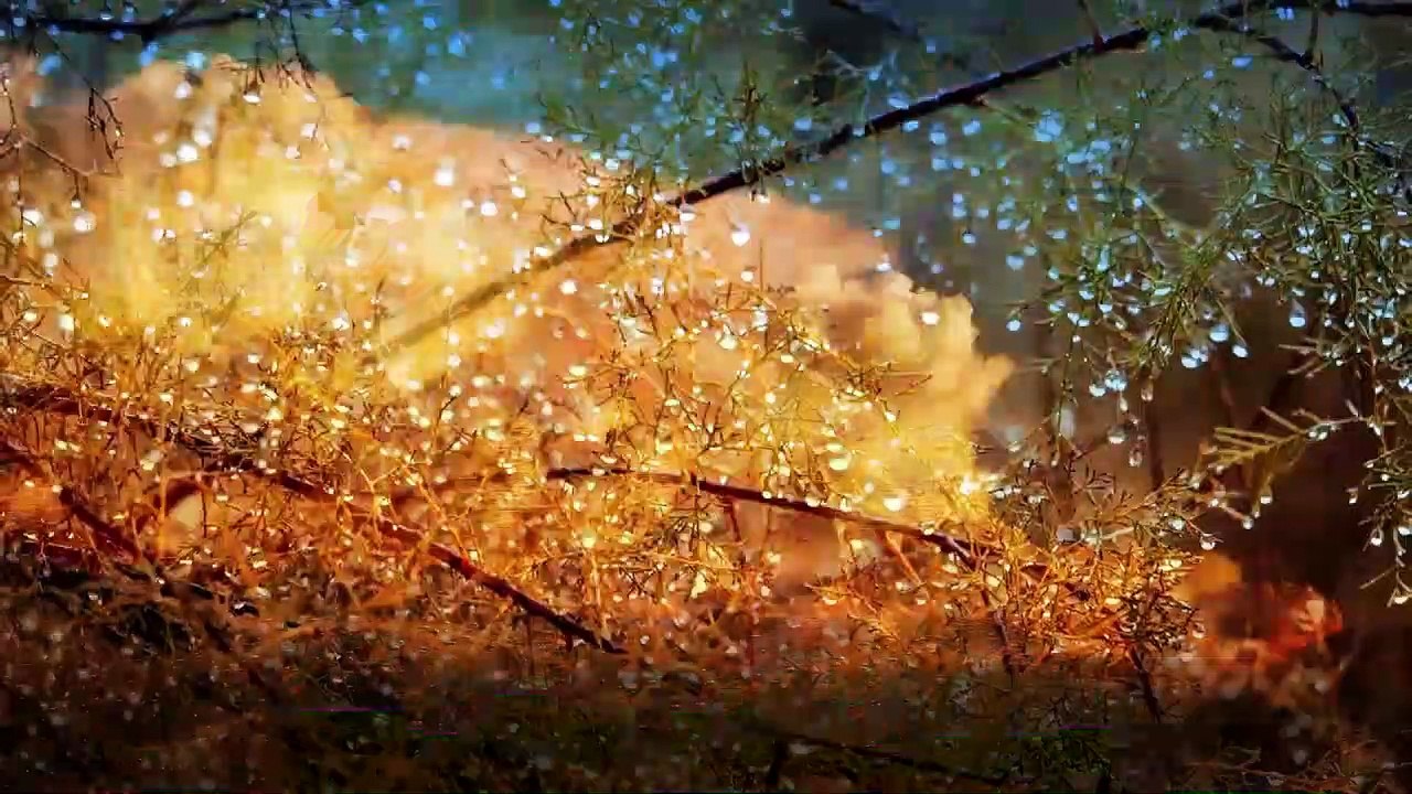 Conoce El Tiempo de Hoy Miércoles 18 de Septiembre de 2019