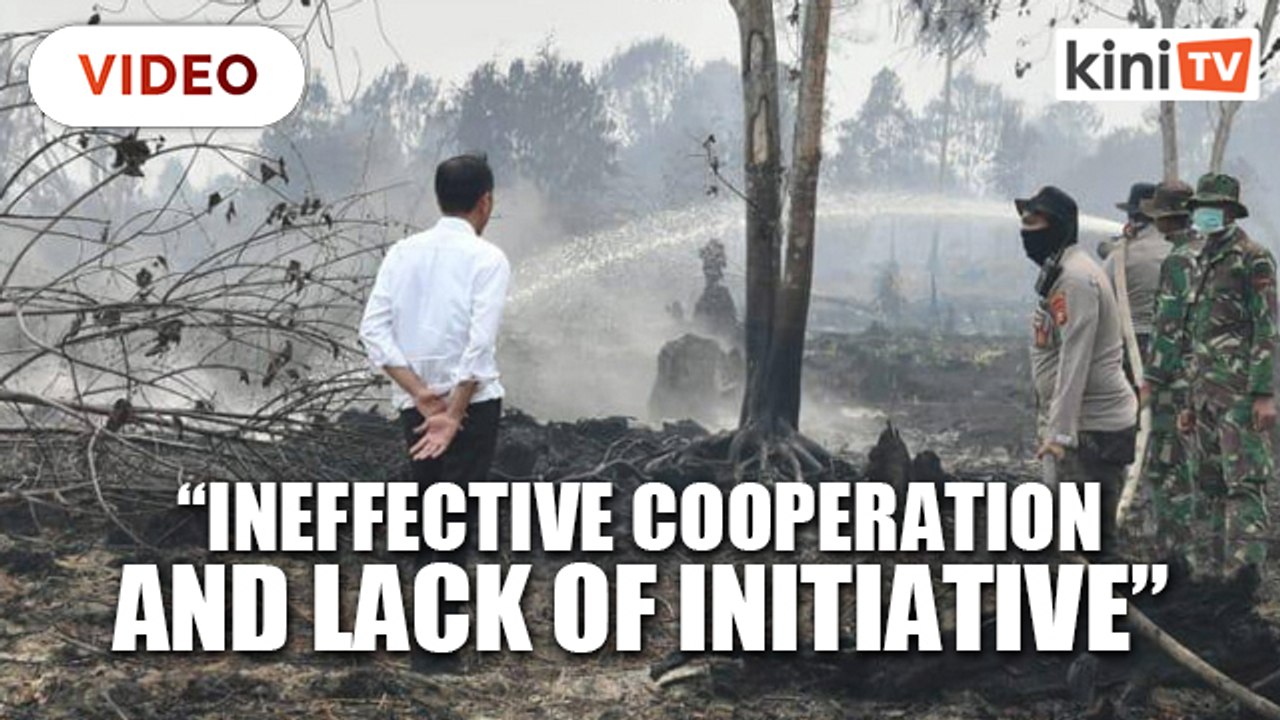 Jokowi expresses disappointment over forest fires