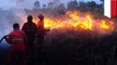 Sebab akibat kebakaran hutan dan lahan di Kalimantan dan Sumatera- TomoNews