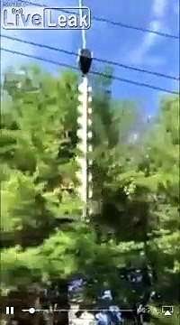 Tronçonneuse géante : ce hélicoptère taille une forêt !