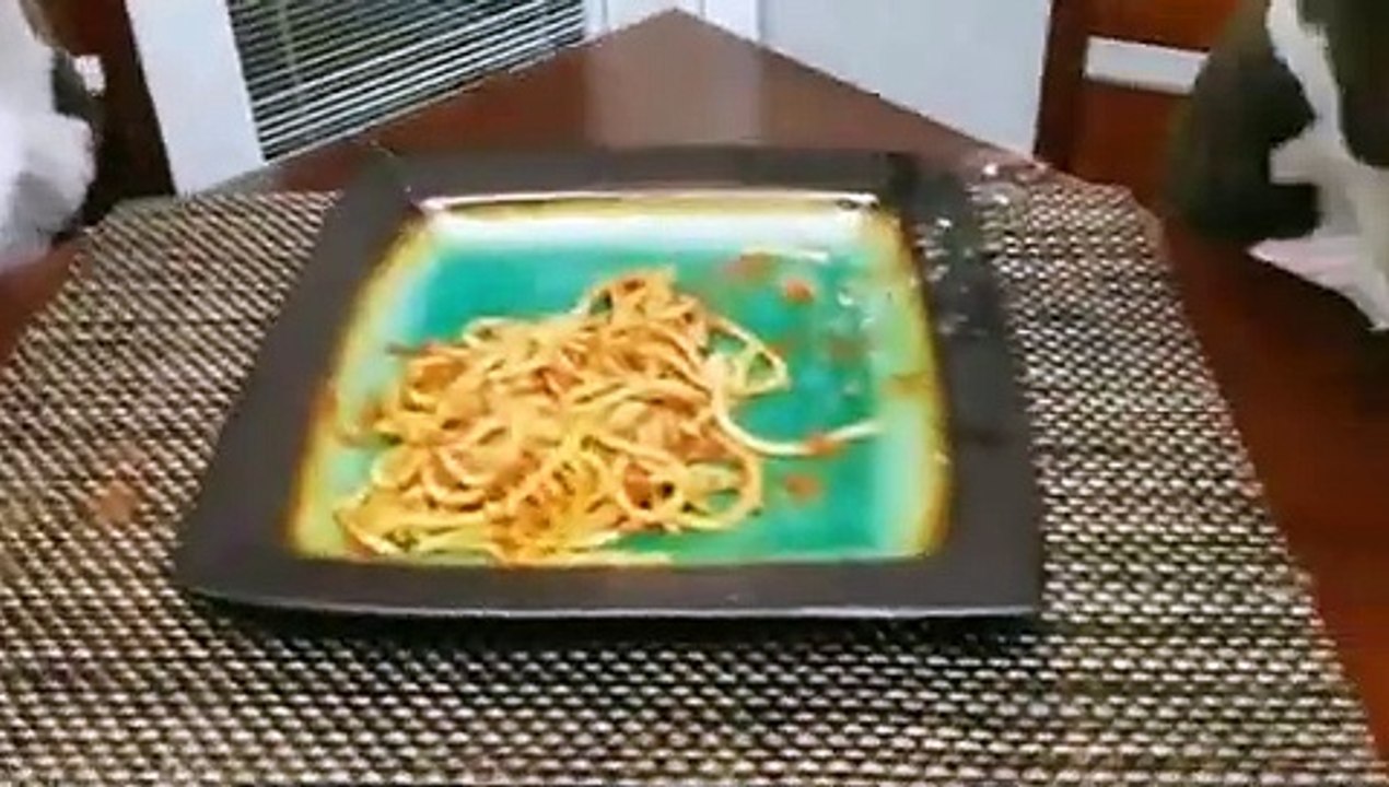 La tête de ces chiens, surpris à manger les spaghettis dans l'assiette !