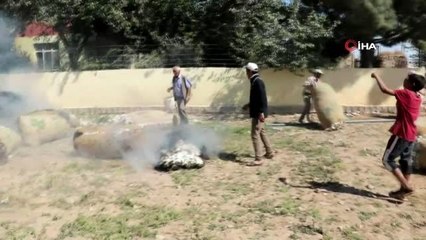 Şanlıurfa'da hasadı yeni yapılan tonlarca pamuk yandı