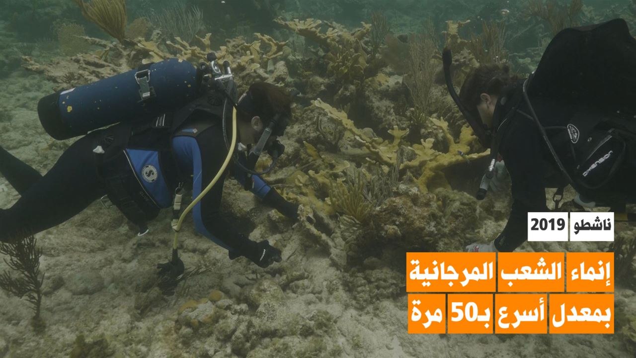 هل يمكن تسريع نمو الشعب المرجانية 50 مرة؟