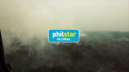 Indonesian forest fires choke SE Asia
