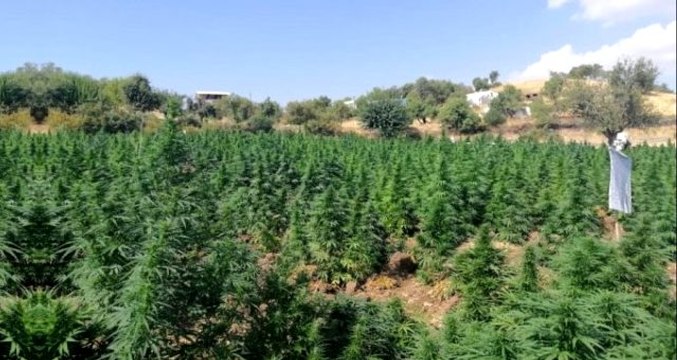 Son yıllardaki en büyük miktar! Terör örgütü PKK'nın finans kaynağına darbe