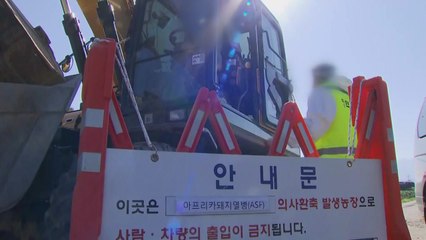 하루 만에 또 발생...확산 우려 속 6개 시군 집중 방역 / YTN