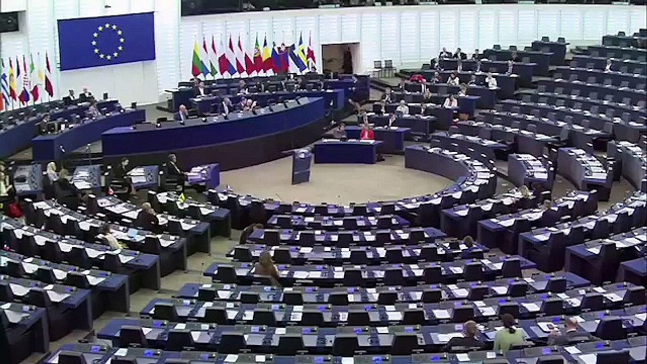 Calenda - Interferenze straniere nei processi elettorali dei paesi europei (17.09.19)