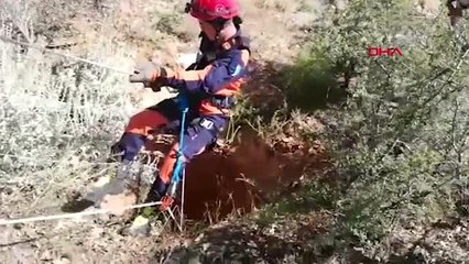 Mersin kuyuya atılan 4 yavru köpekten biri kurtarılabildi