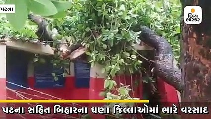 પટનામાં ઝાડ પડવાથી 9 પોલીસકર્મીઓ ઘાયલ