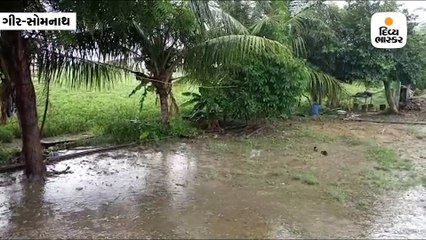 વેરાવળ અને દીવ પંથકના વાતાવરણમાં પલ્ટો, ગ્રામ્ય પંથકમાં ઝાપટું વરસ્યું