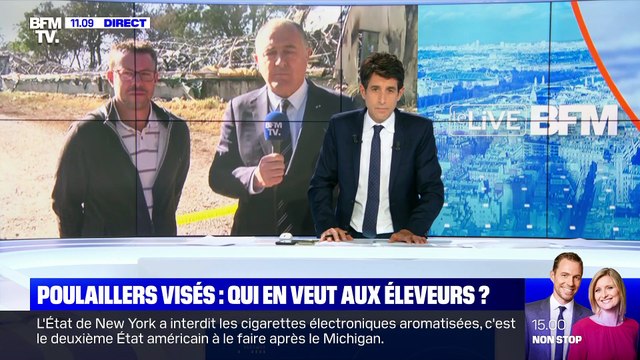 Poulaillers visés : qui en veut aux éleveurs ? - 18/09